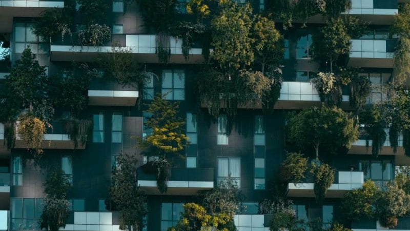 batiment écolo vert durable