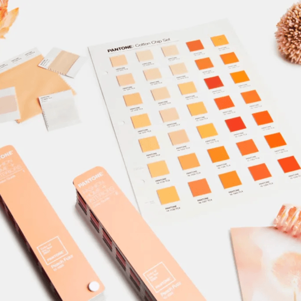 differentes-nuances-pantone-peche