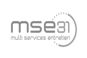 Logo MSE31